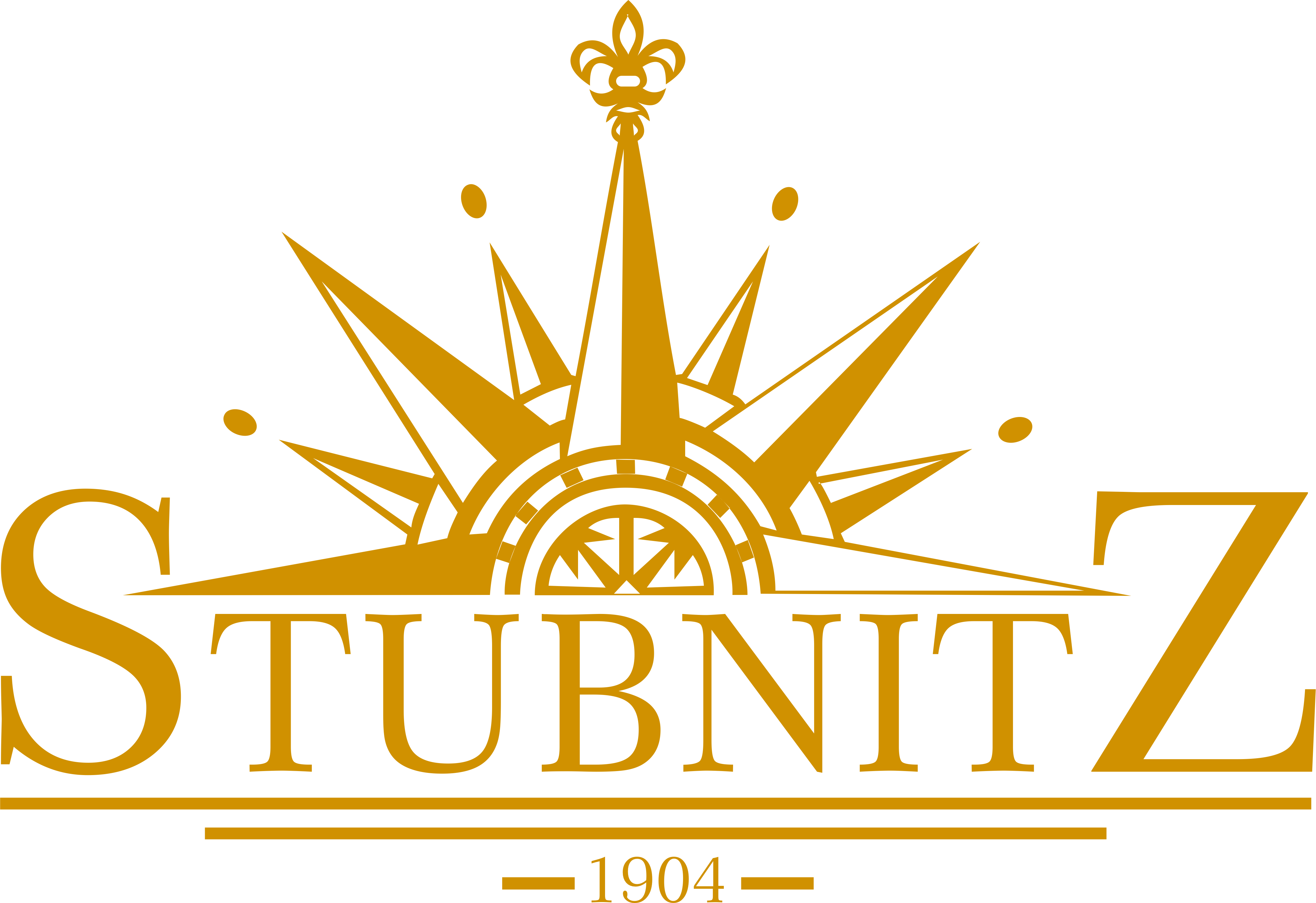 Stubnitz logo